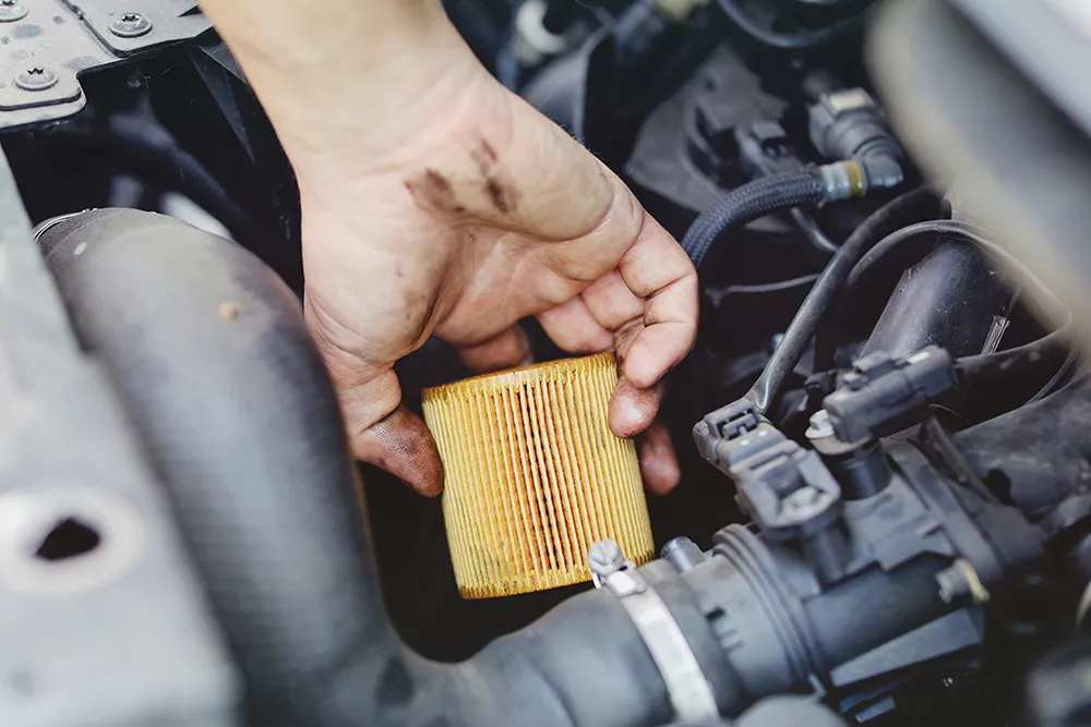 Filters & Fluids Maintenance for Your Vehicle in White Bear Lake and Blaine, Minnesota